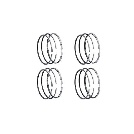 رینگ استاندارد TP پژو 405