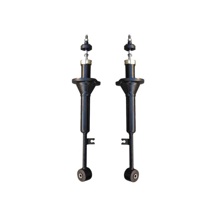 کمک فنر عقب کی دی اس مناسب تیبا و ریو بسته دو عددی